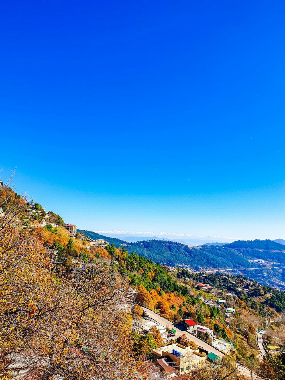 a scenic view of a town on a hill