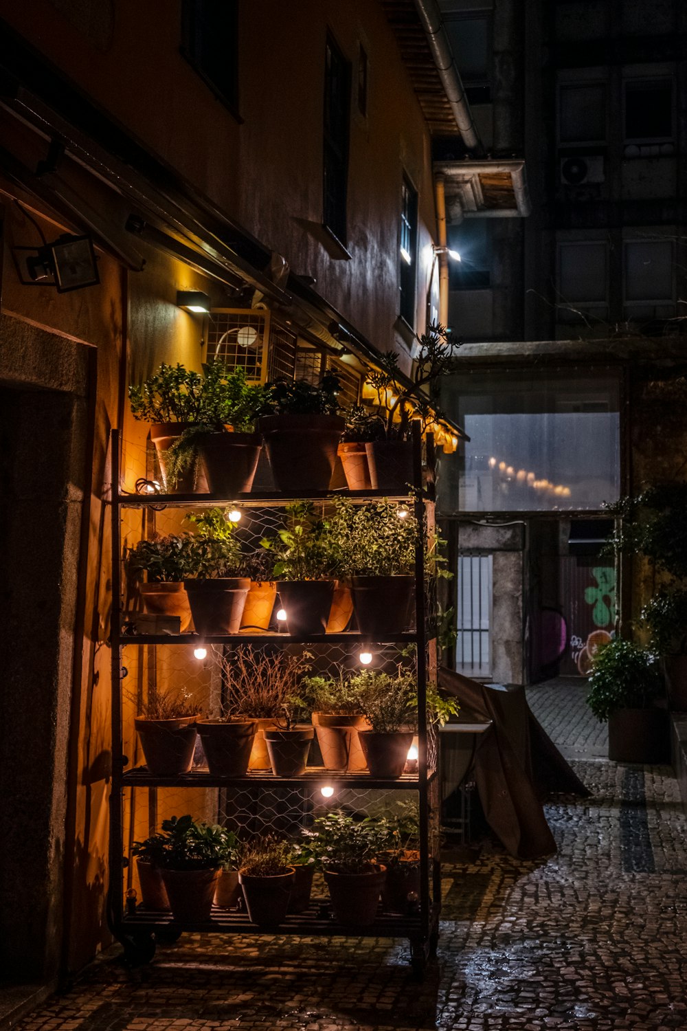 a narrow alleyway with potted plants and lights
