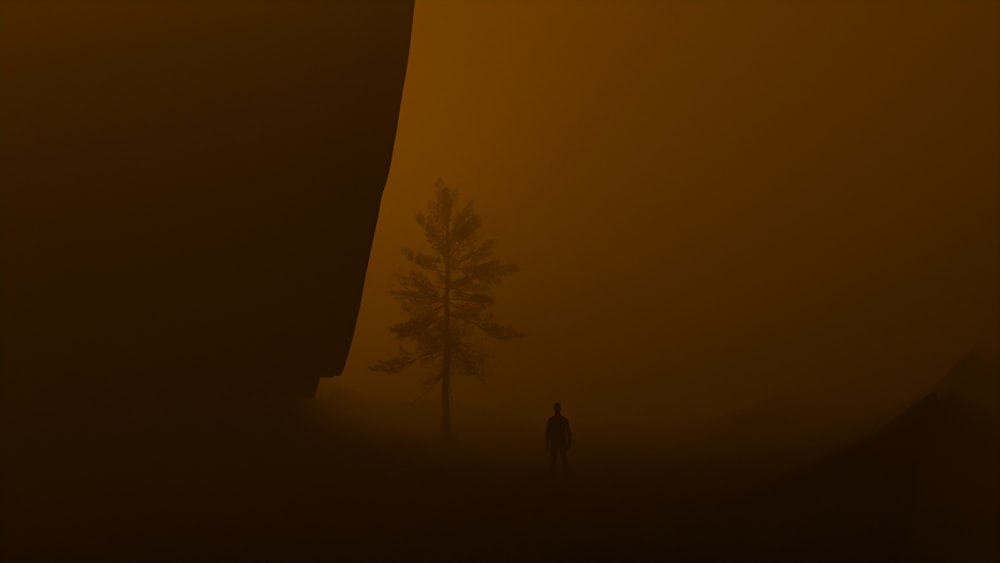 a person standing in a foggy area next to a tree