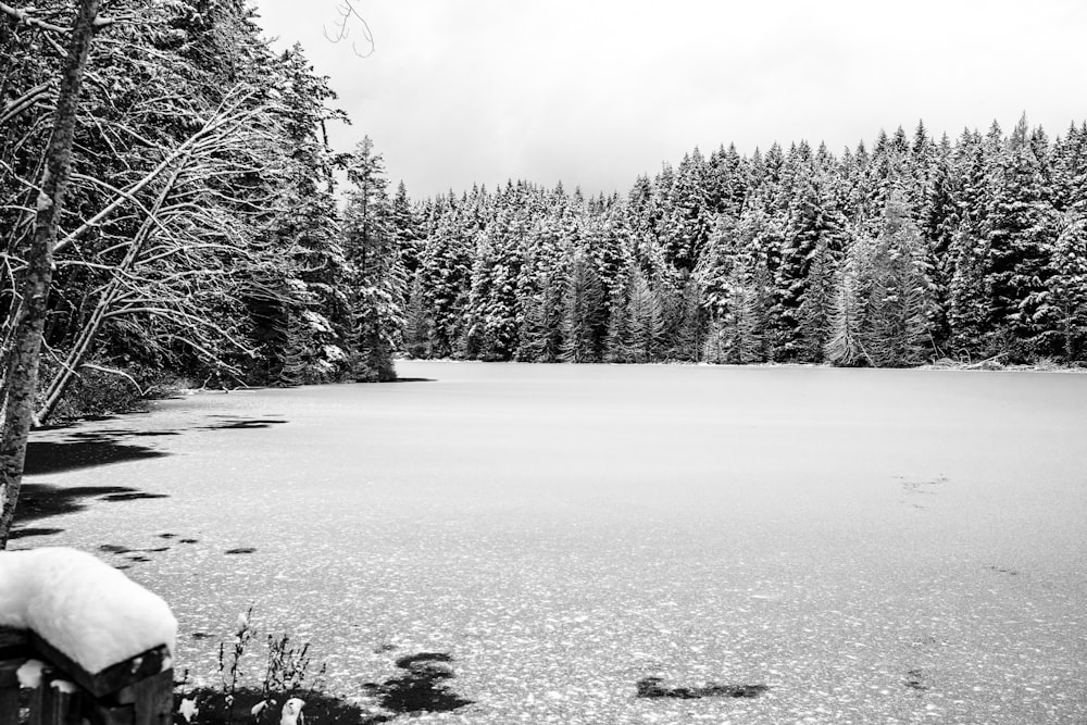 a snow covered lake surrounded by trees