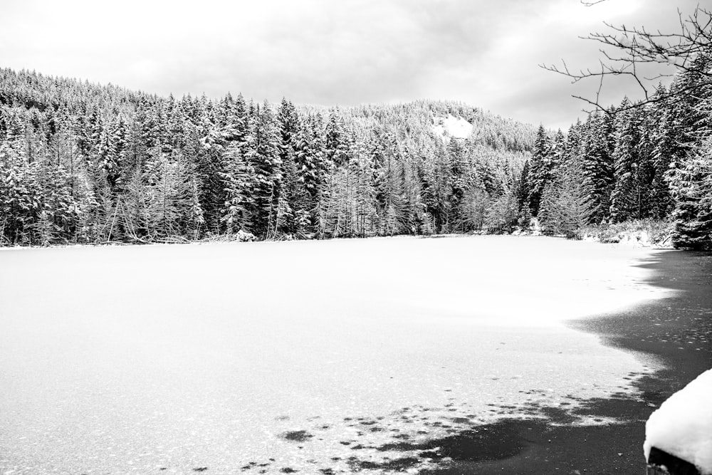 a snow covered field with trees in the background