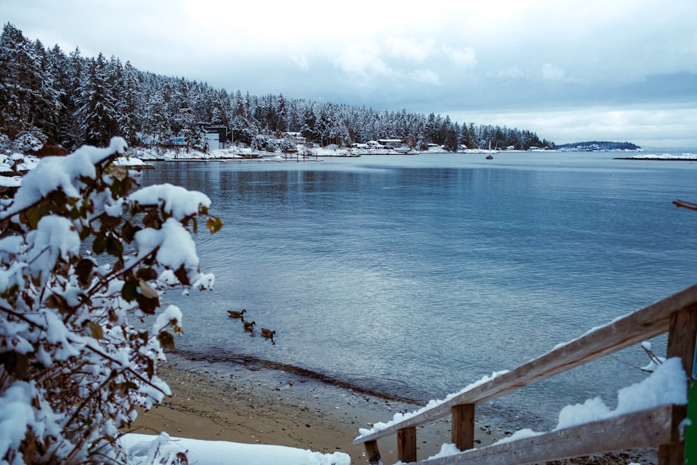 a view of a snowy beach and a body of water