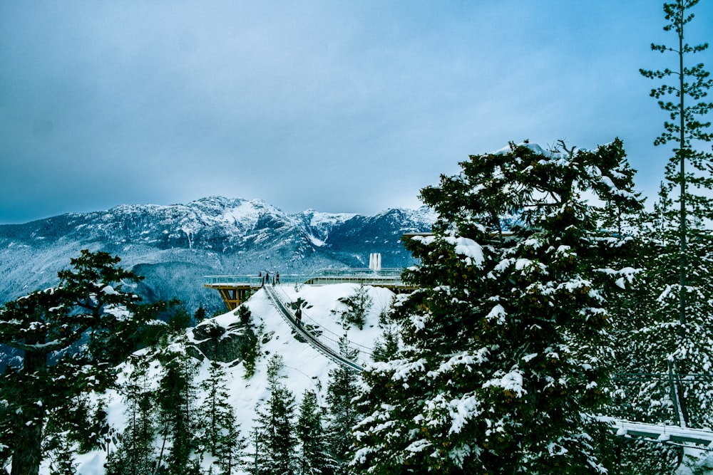 a view of a snowy mountain with trees in the foreground