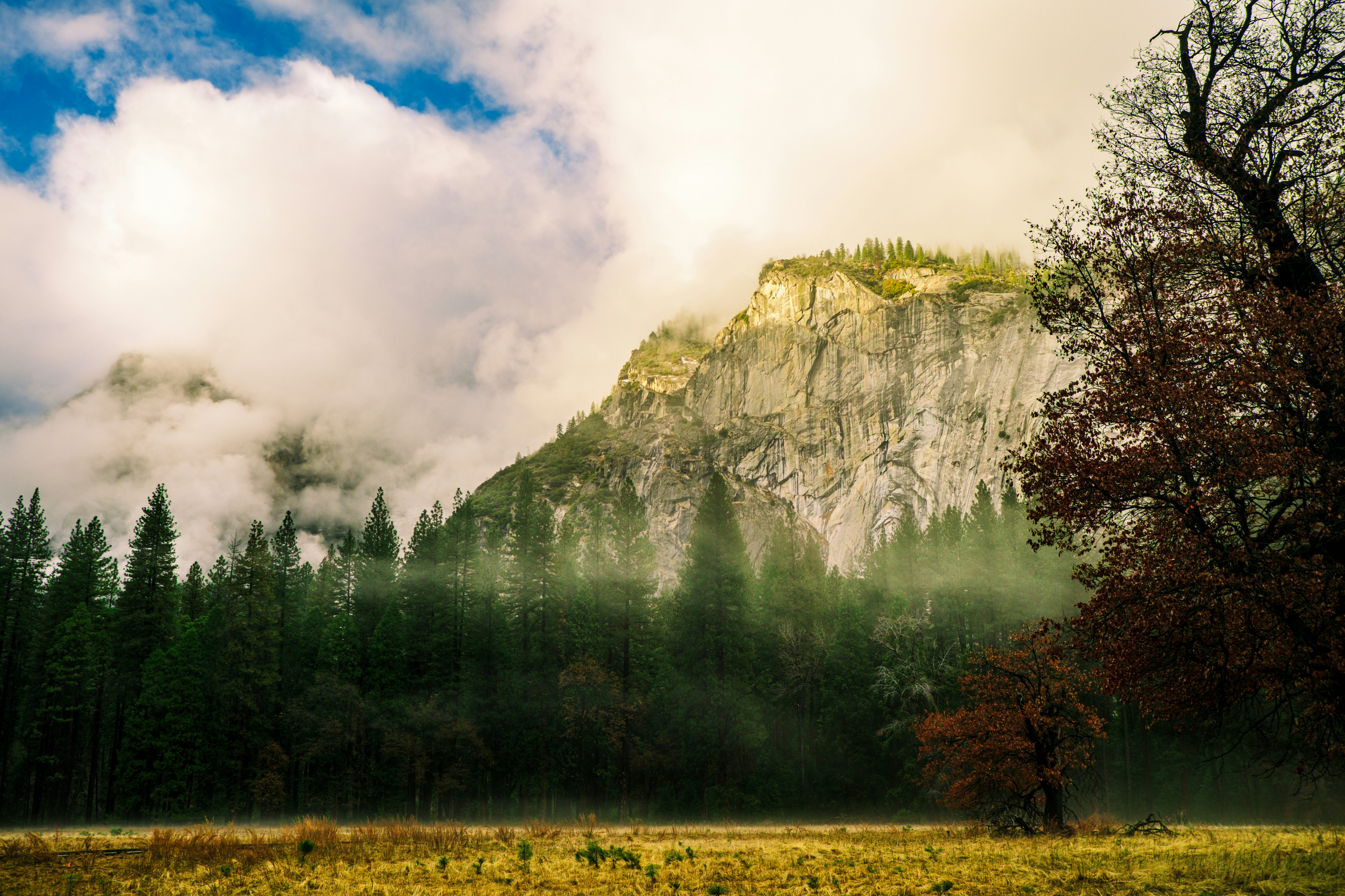 A mountain covered in clouds and trees in the foreground photo – Free ...