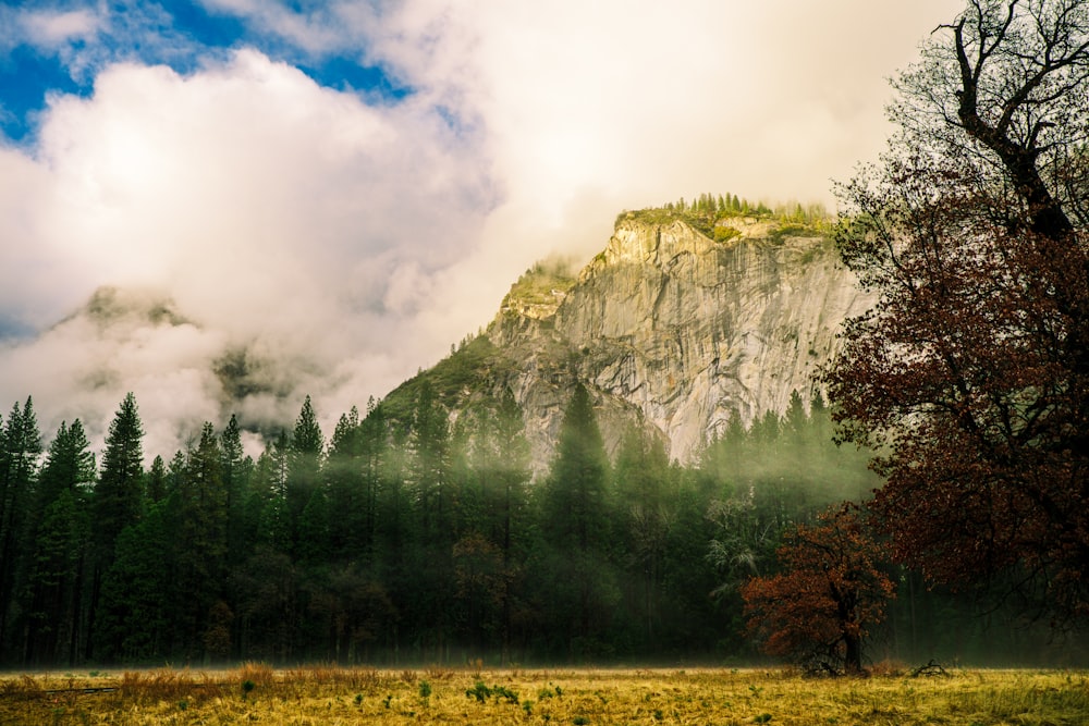 a mountain covered in clouds and trees in the foreground