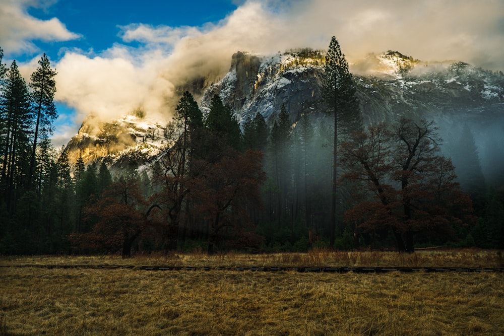 a mountain covered in clouds with trees in the foreground