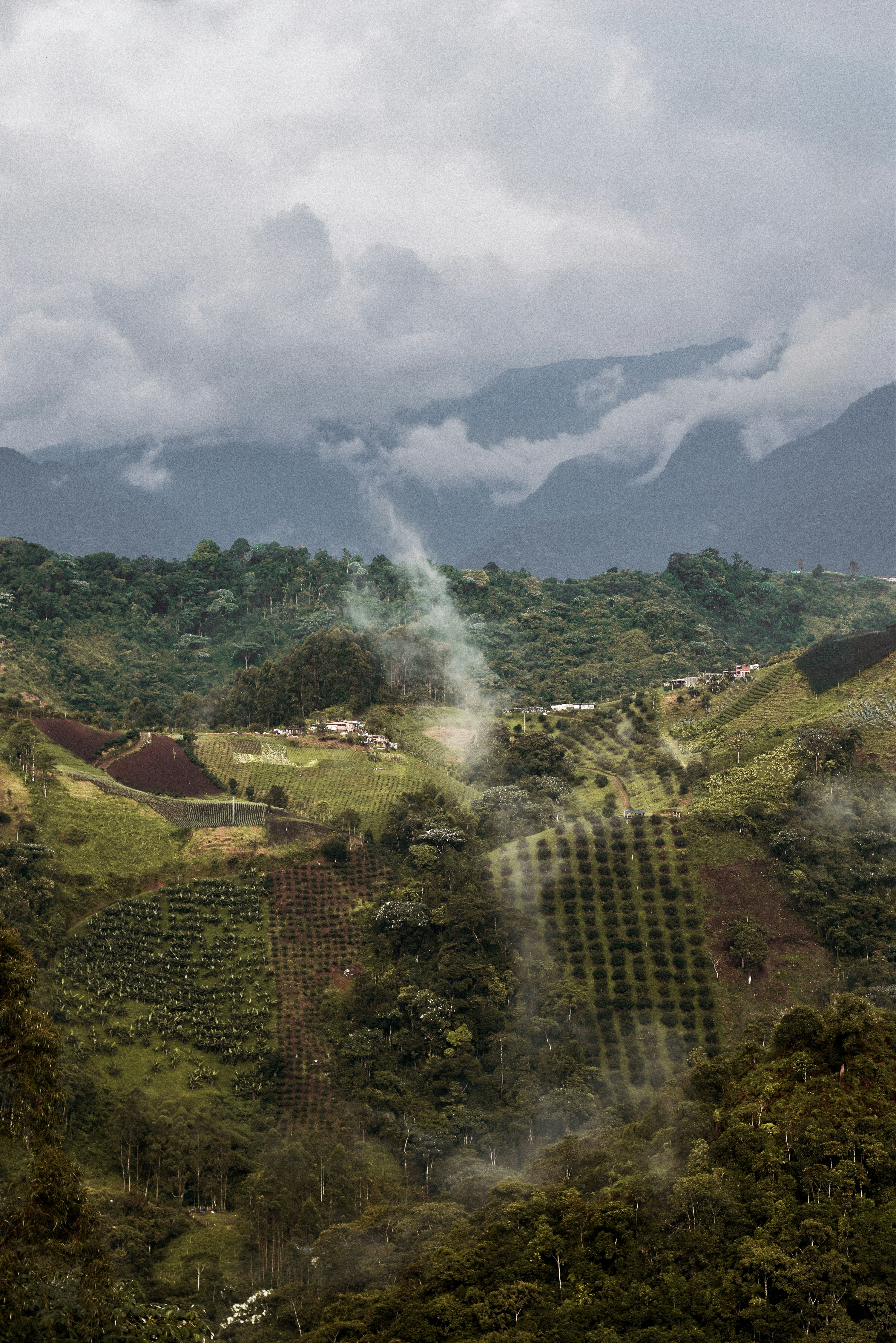 Blick auf ein saftig grünes Tal mit Bergen im Hintergrund