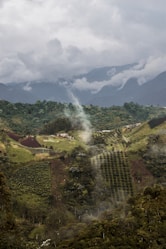 a view of a lush green valley with mountains in the background
