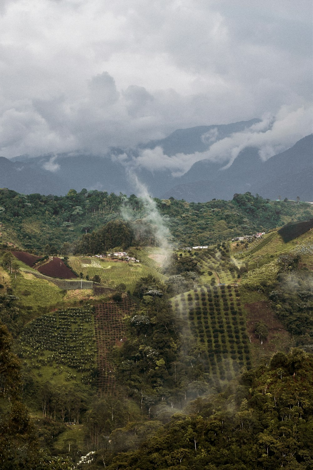 a view of a lush green valley with mountains in the background