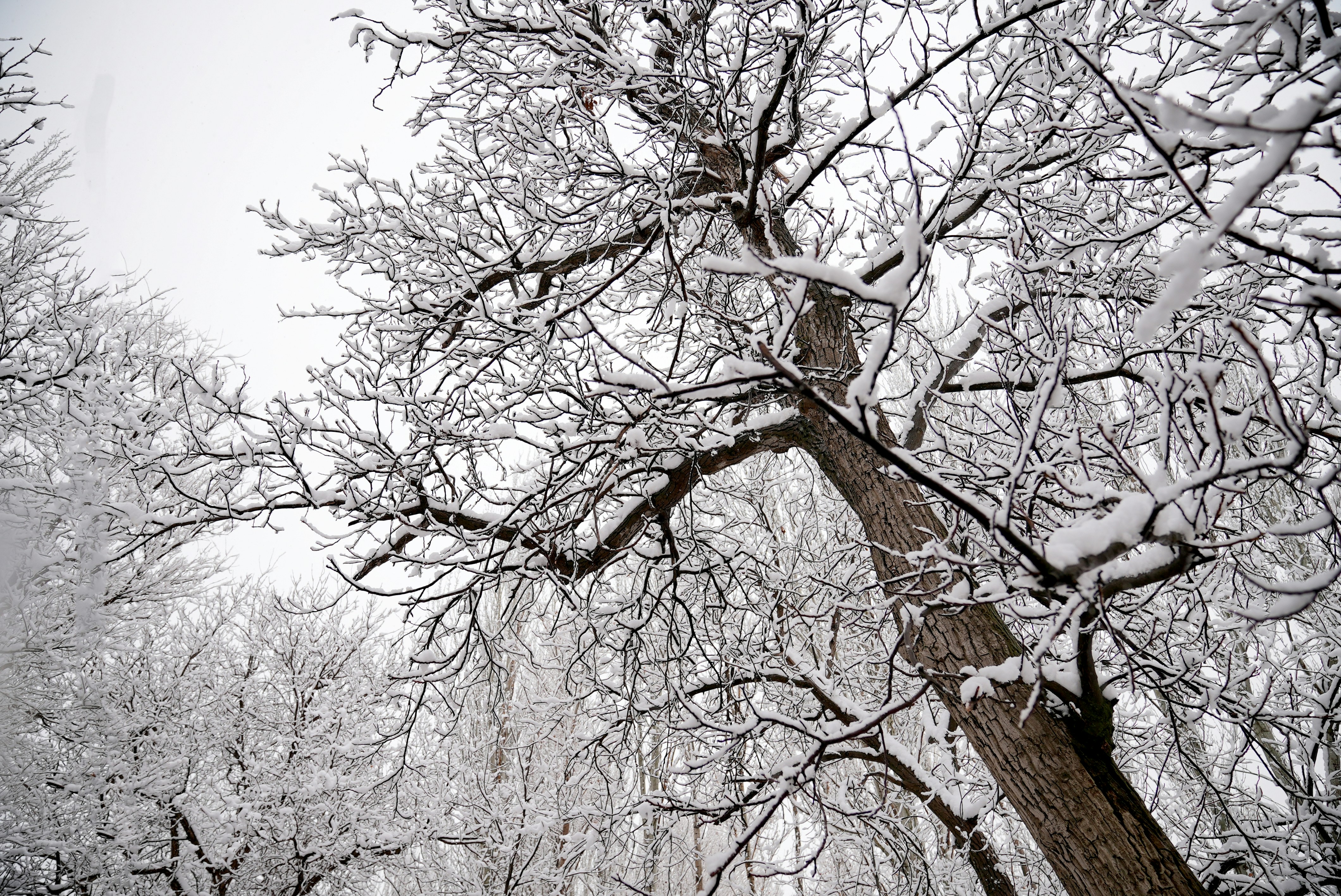 Photo by rafieeartist