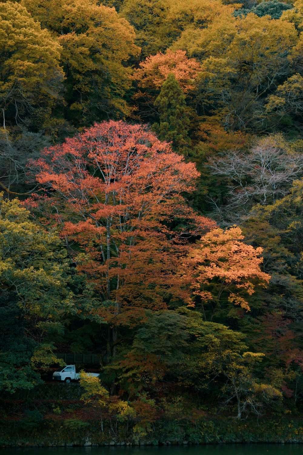 a boat floating on top of a lake surrounded by trees