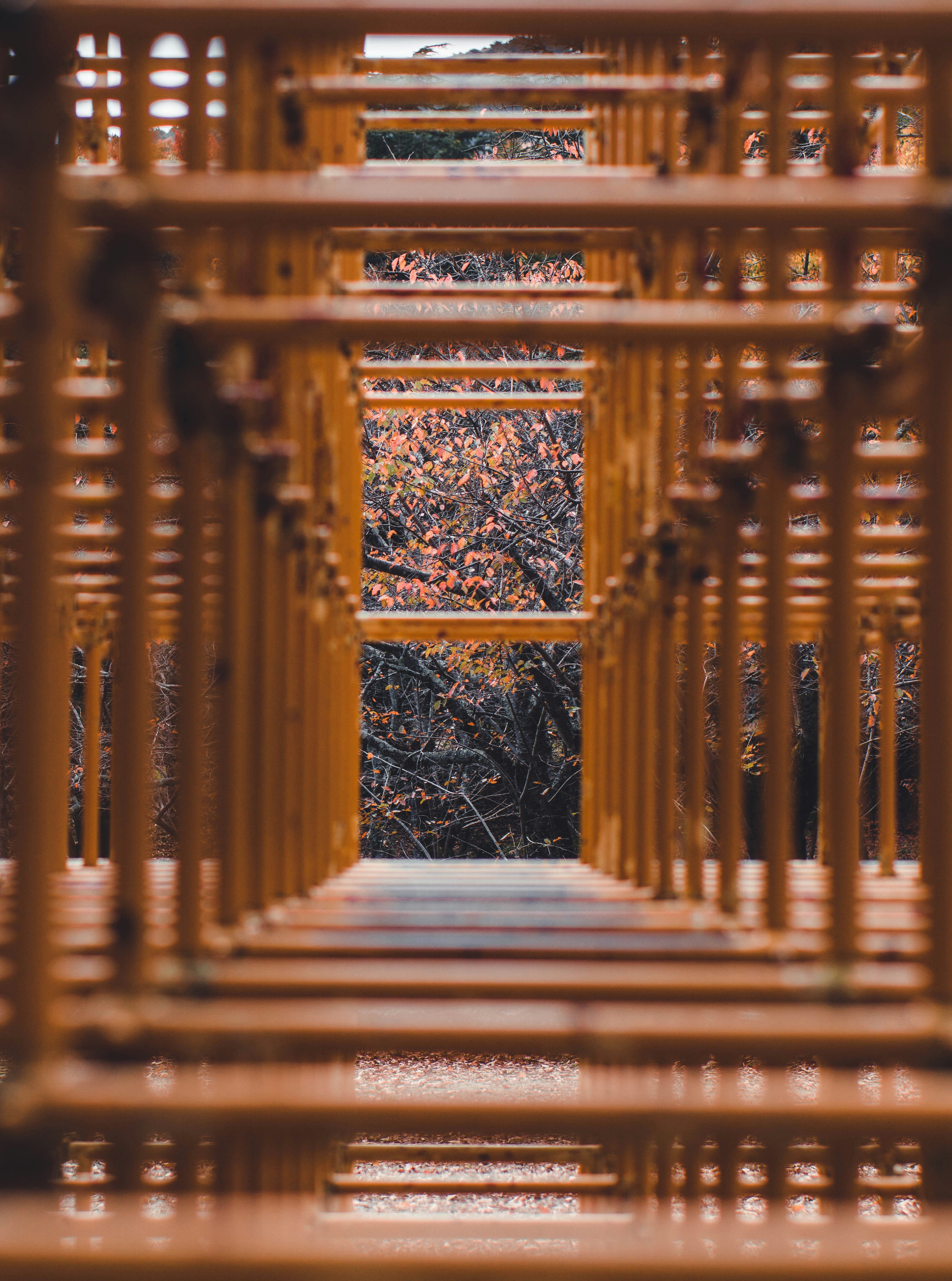 Photo by dianainjapan