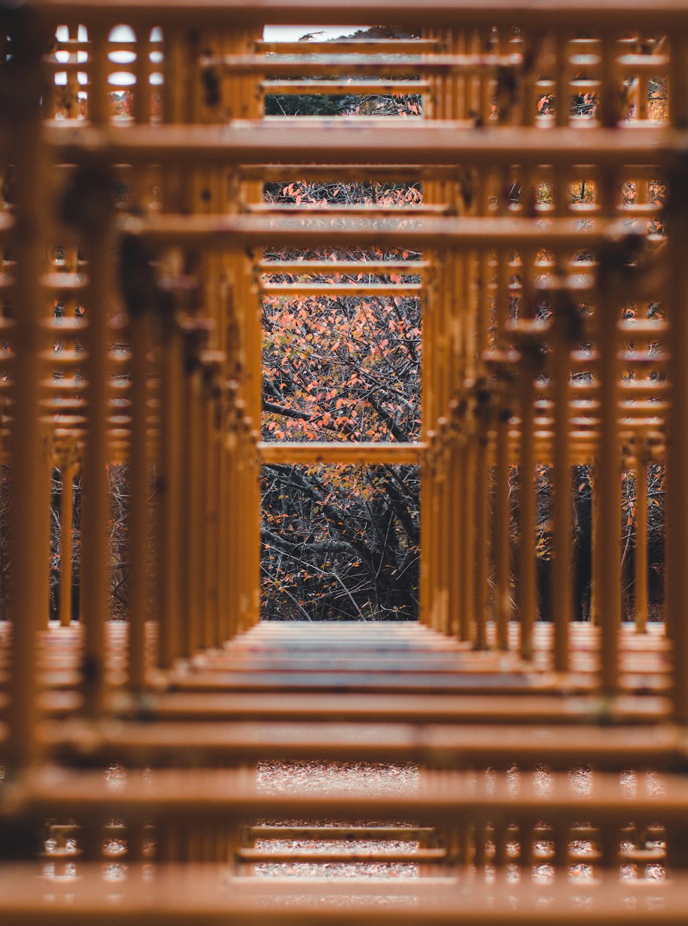 a wooden structure with trees in the background