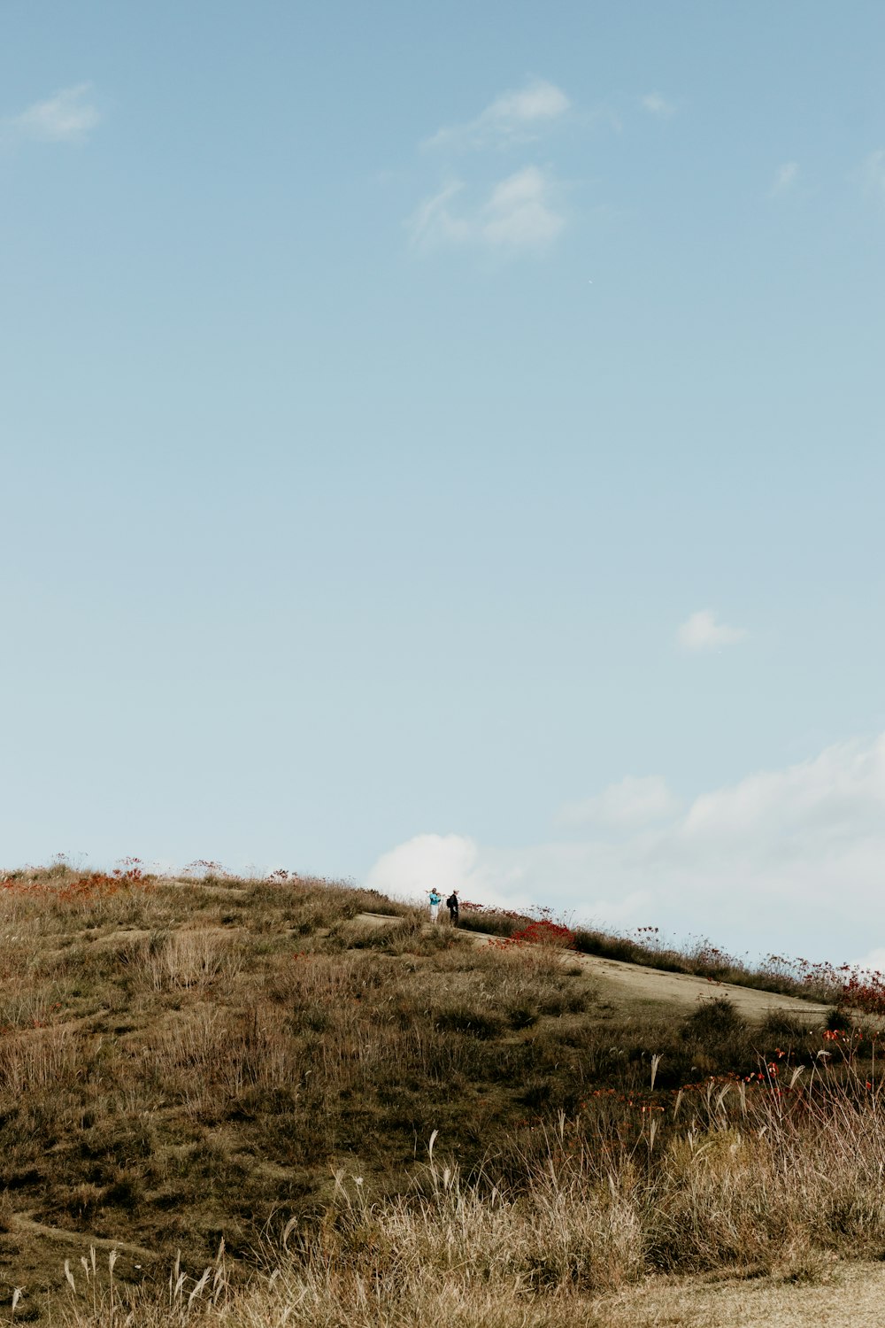 a couple of people walking up a hill