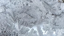 Intricate patterns of frost crystals form on a surface, resembling delicate ferns or leaves. The crystalline structures are detailed and finely textured, with overlapping and interlocking forms that create a natural lace-like effect.