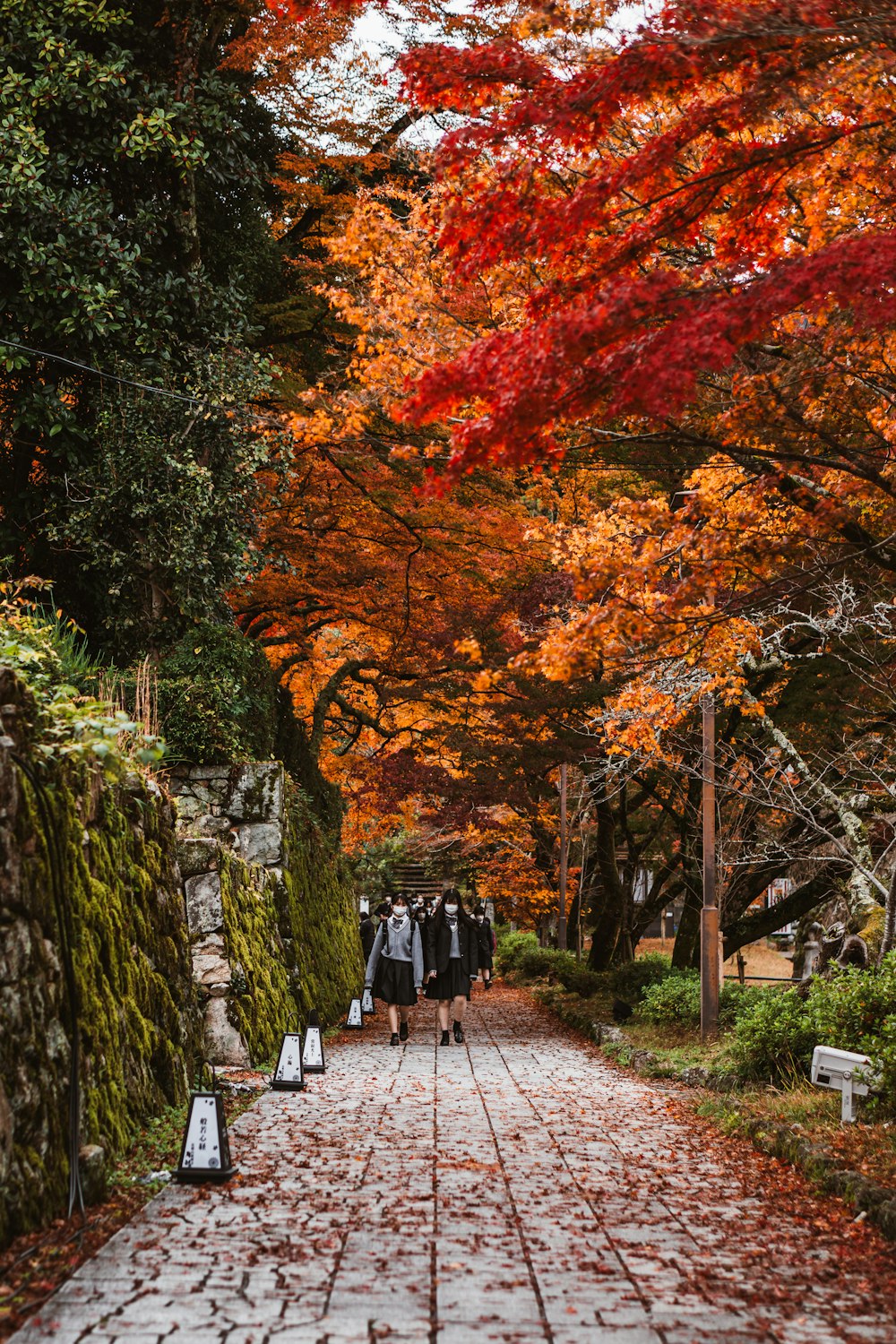 a group of people walking down a brick road