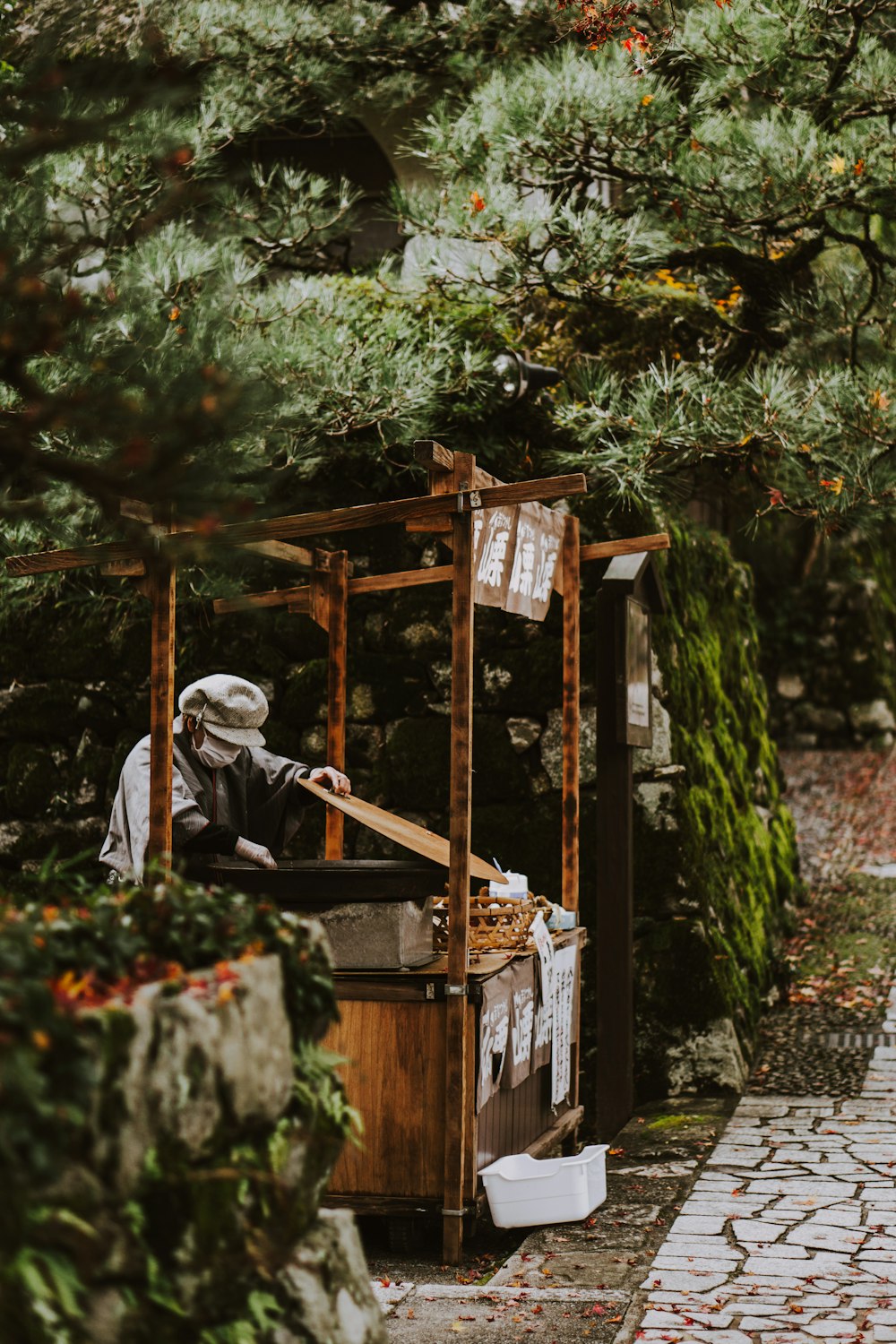 a man sitting on a bench next to a tree