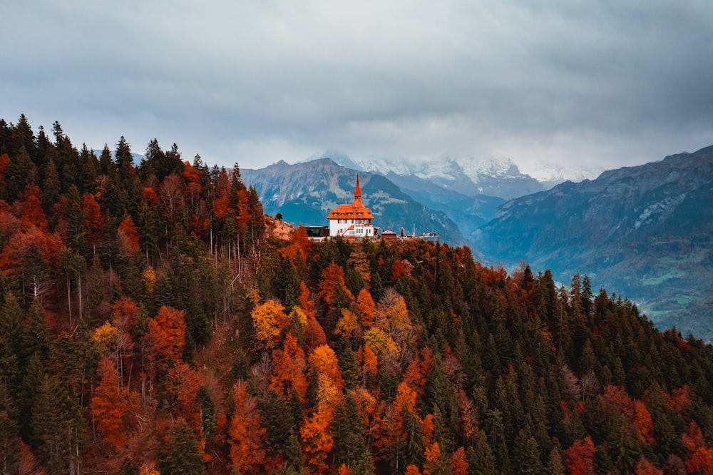 a church on top of a mountain surrounded by trees