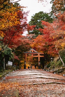 A peaceful temple pathway in Kyoto framed by autumn leaves in warm reds and oranges.