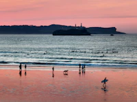 Best Meeting-Friendly Cafes in Santander for Calls and Client Sessions