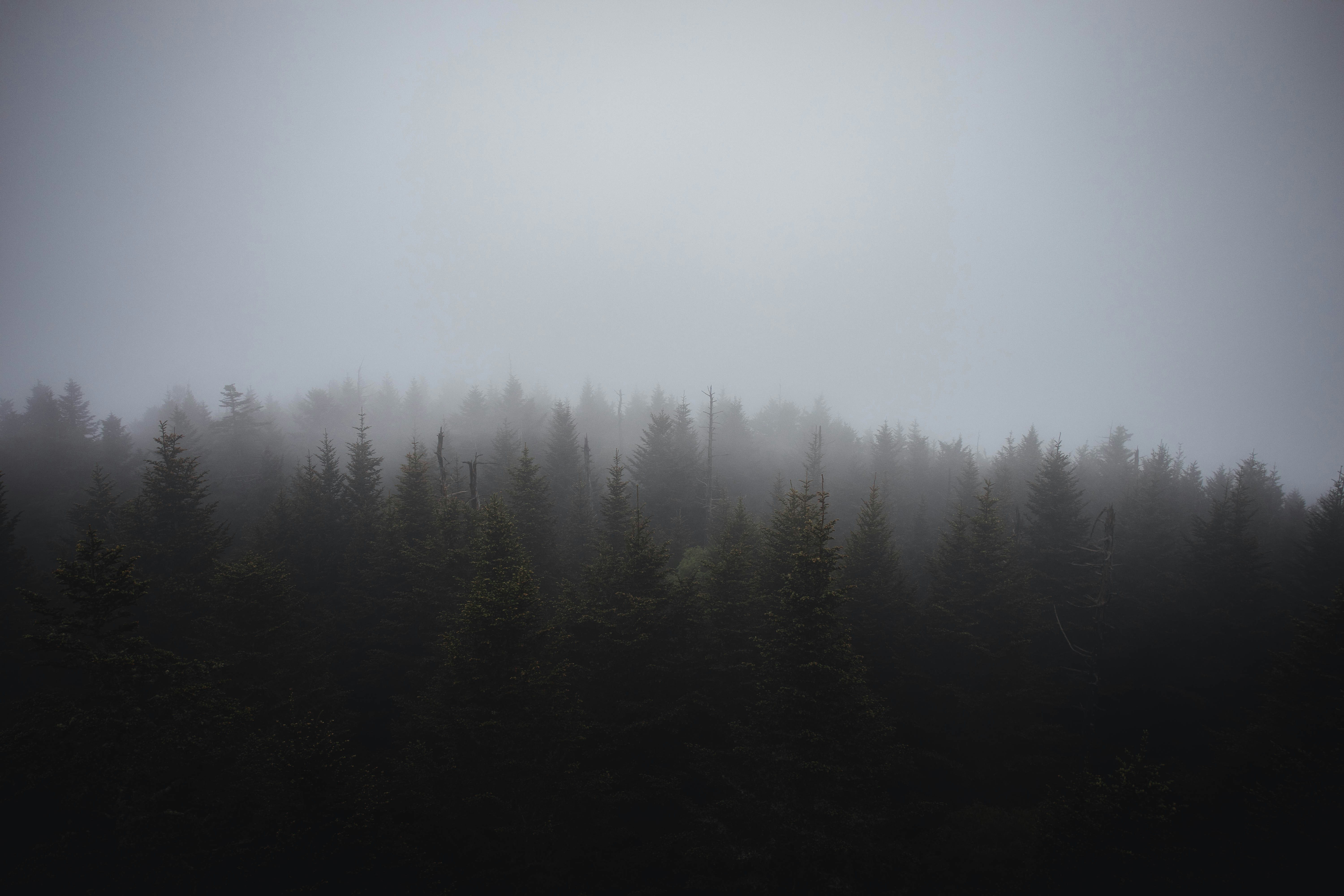 Photo by shotfromdeep