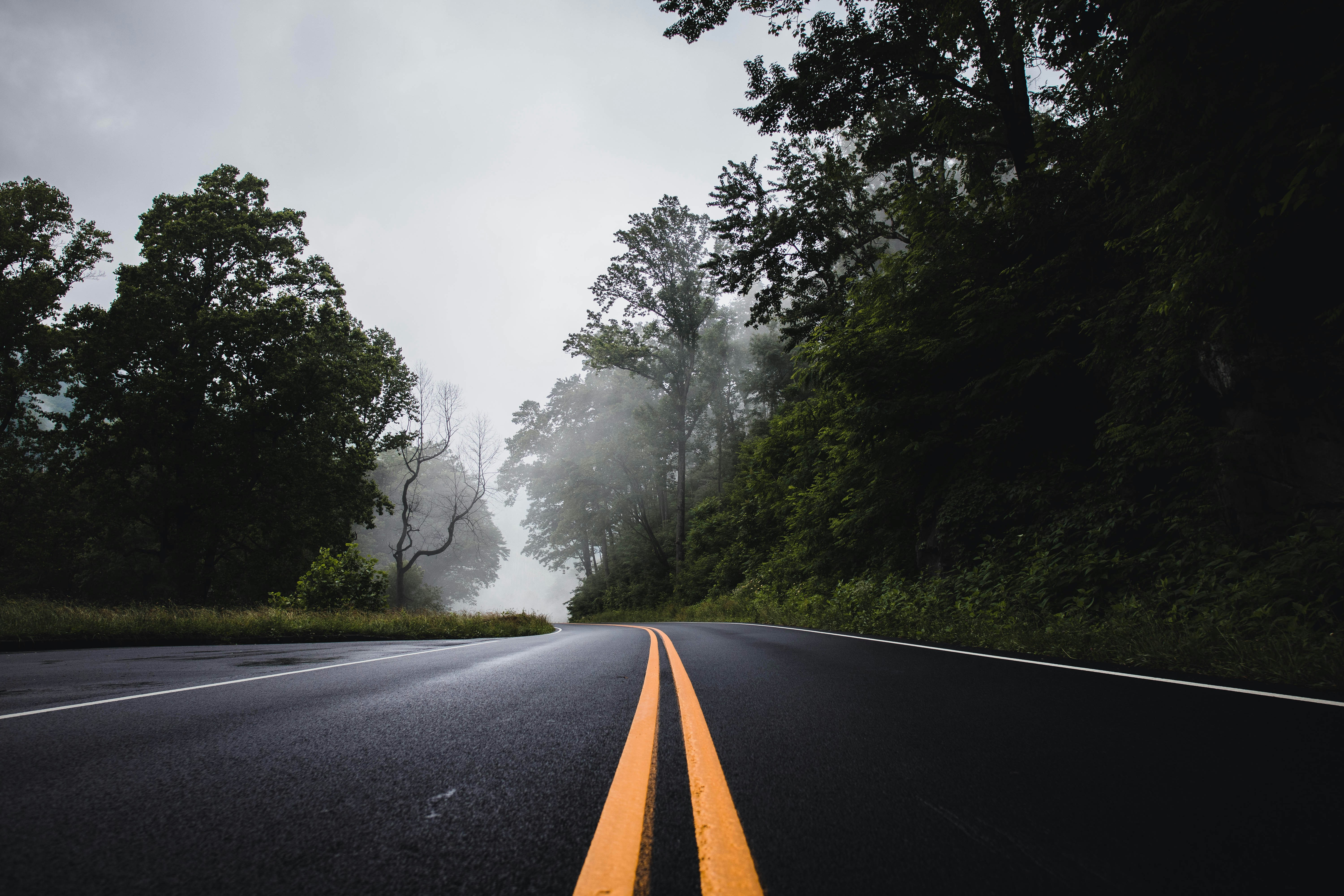 Photo by shotfromdeep