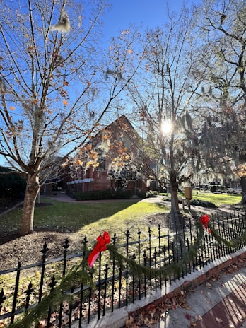 A cozy street view featuring Santa Rosa’s historic Luther Burbank Home and Gardens on a sunny day.