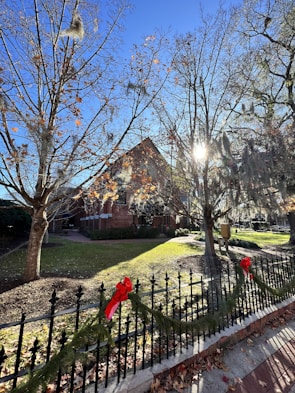 A scenic view of a residential area featuring a brick house partially obscured by leafless trees. Sunlight peeks through the branches, creating a bright and serene atmosphere. The fence in the foreground is decorated with festive garlands and red bows, hinting at a holiday season. The ground is covered with a mix of grass and fallen leaves.