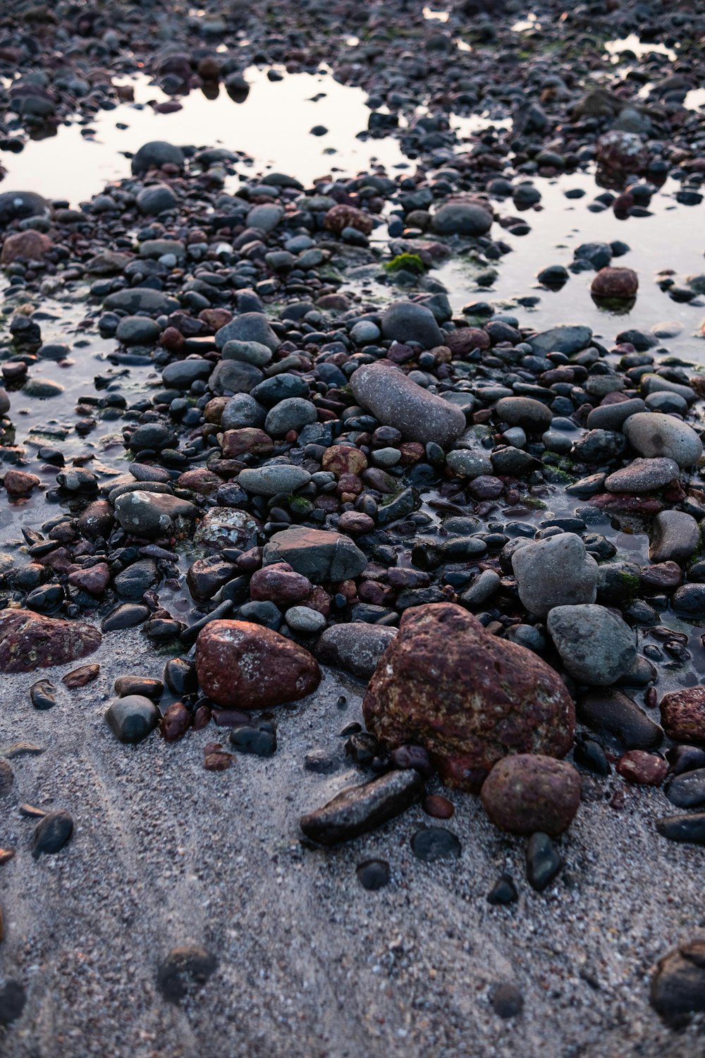 a bunch of rocks that are on a beach