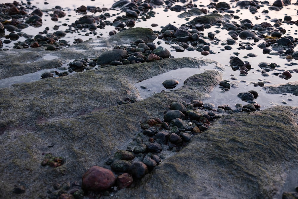 a rocky beach covered in lots of rocks