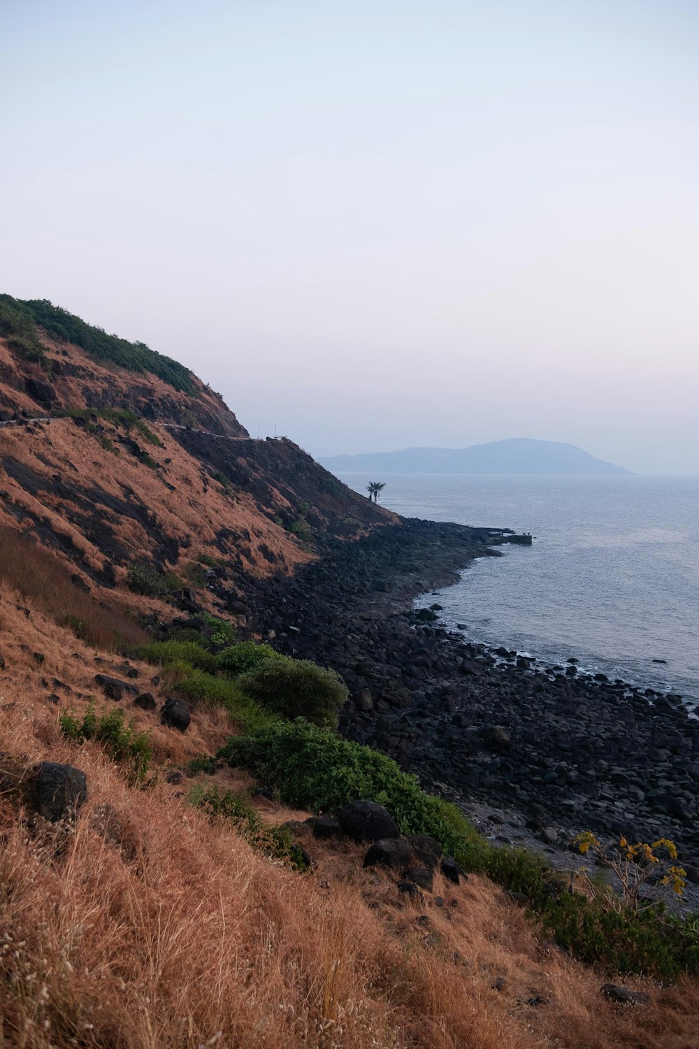 a person standing on a hill overlooking the ocean