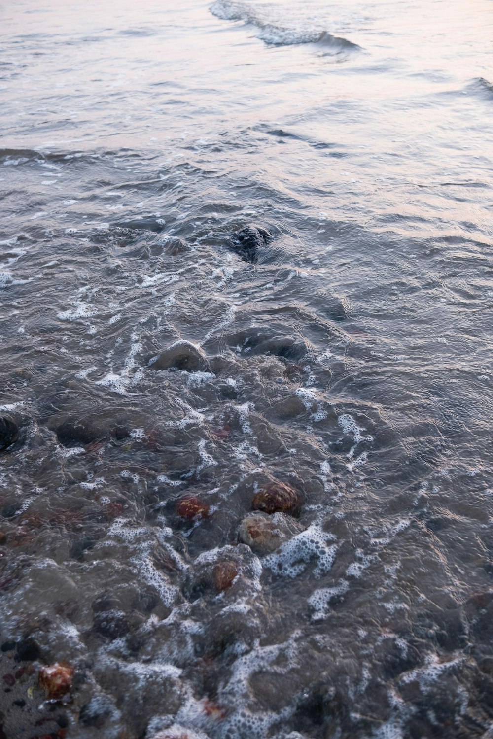 a body of water with rocks in it