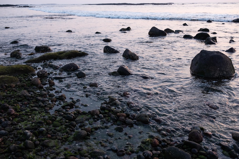 a body of water with rocks in it