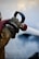 A close-up of a pressure washer in action, spraying water on a dirty surface.