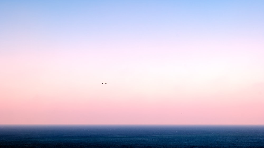Un uccello che vola sopra l'oceano al tramonto