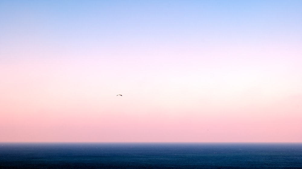 a bird flying over the ocean at sunset