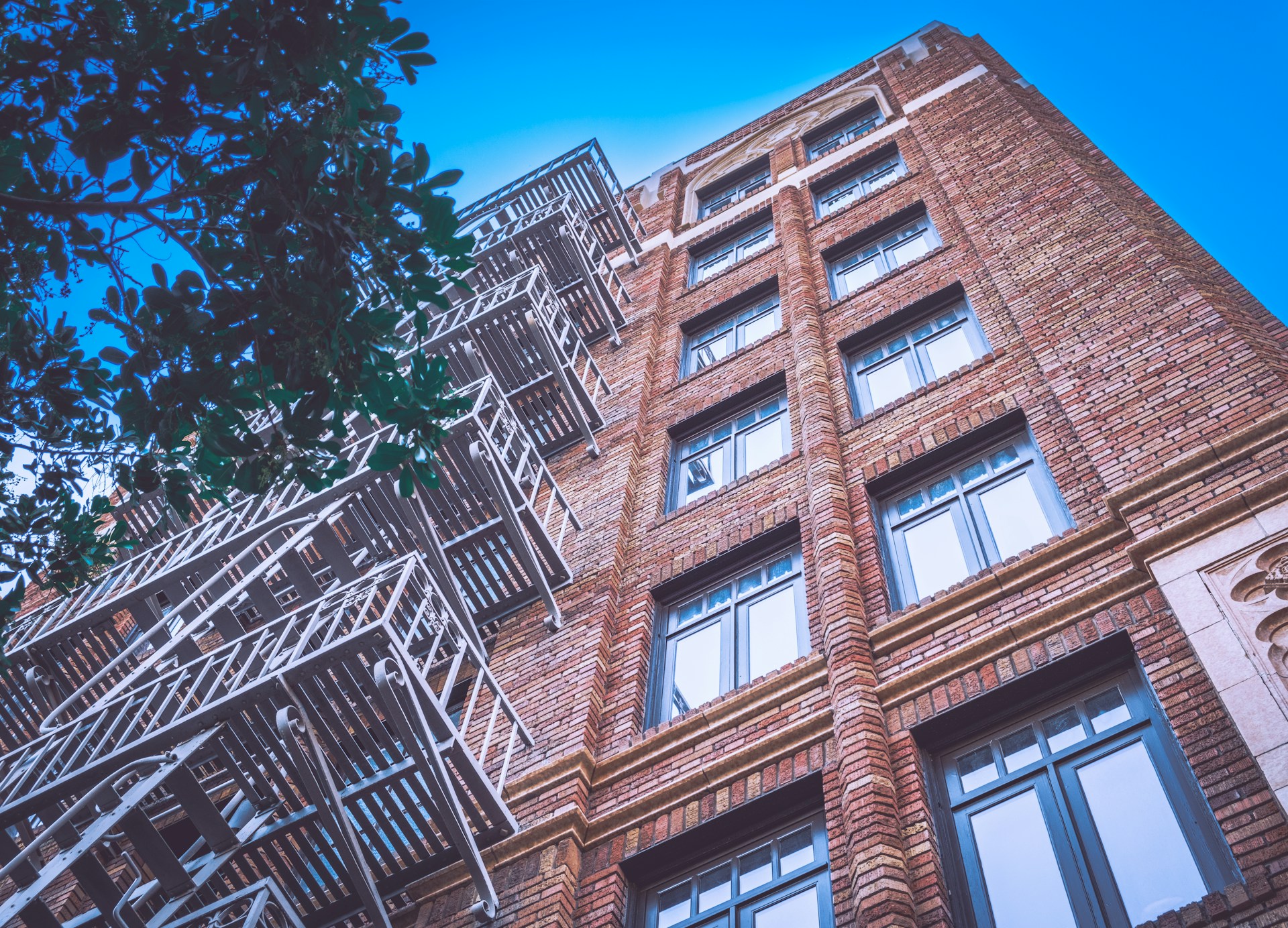 a tall brick building with windows next to a tree