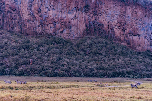 Professional team consulting clients amid Zimbabwe’s diverse landscapes.