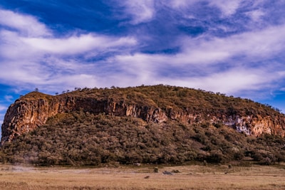 a large mountain with trees on top of it