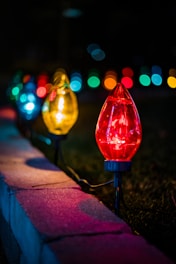 Multi-color solar lights twinkling along a flower bed at night
