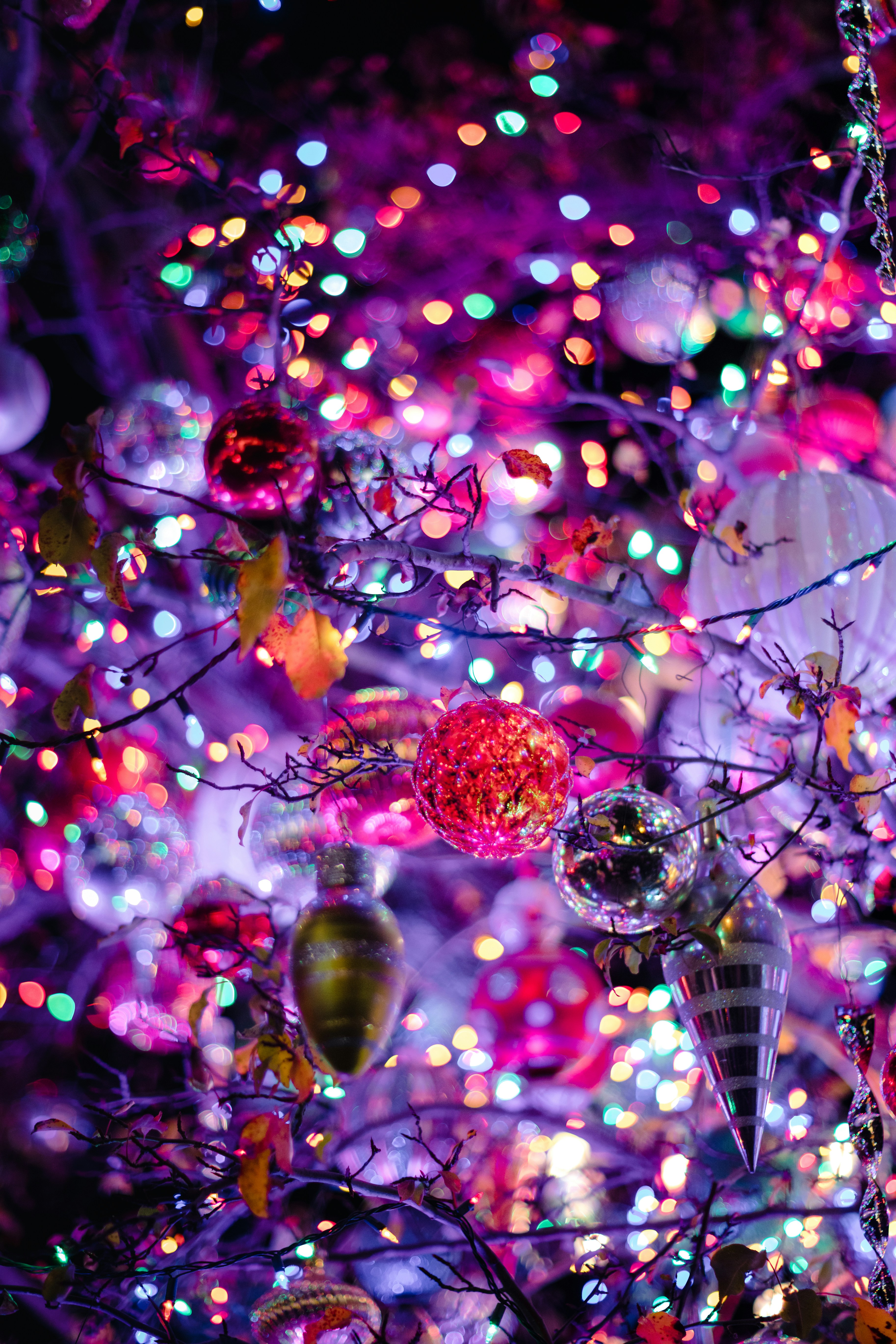 Foto zum Thema Ein Baum gefüllt mit vielen verschiedenfarbigen Kugeln