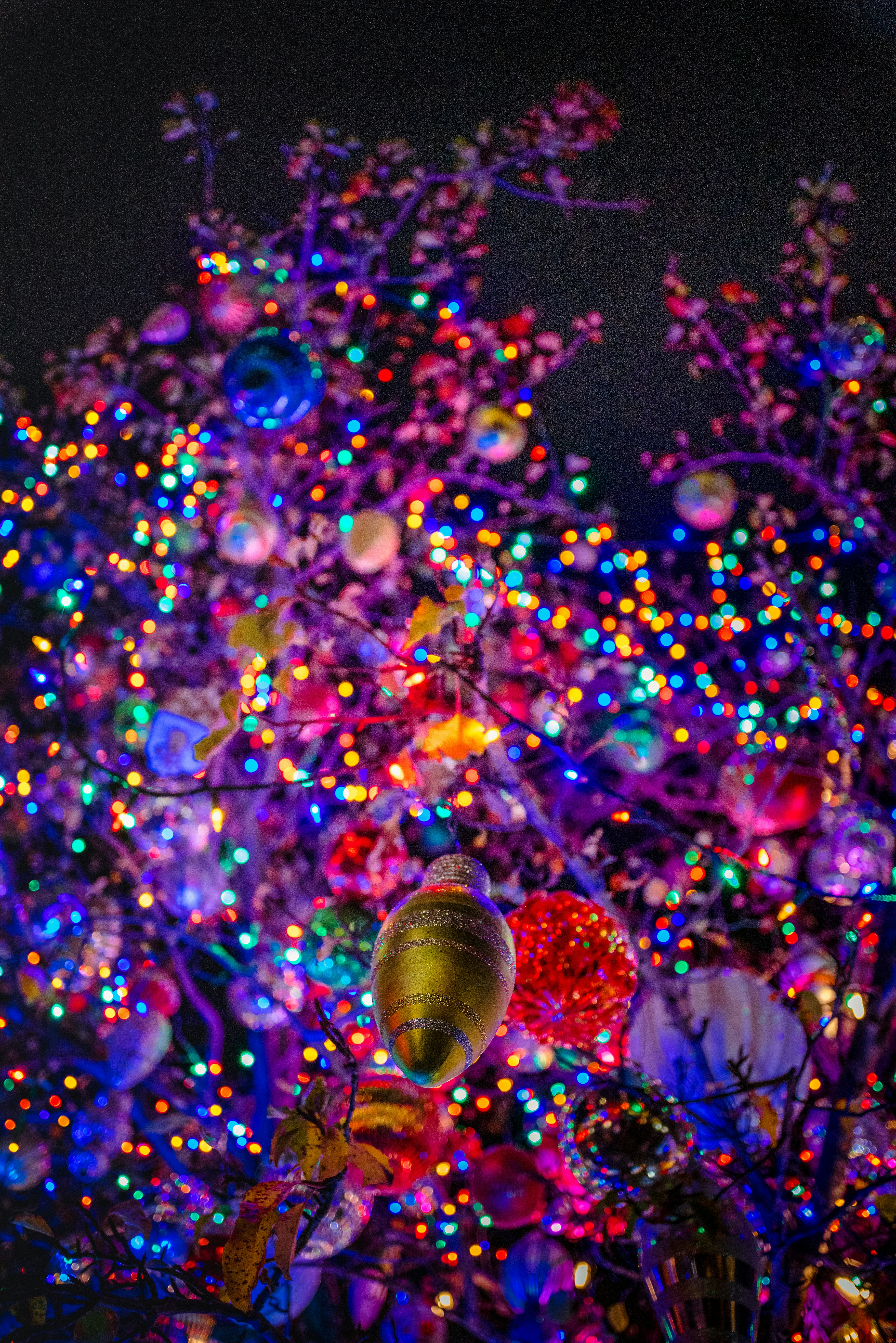 A christmas tree is lit up with colorful lights photo – Free Man Image ...
