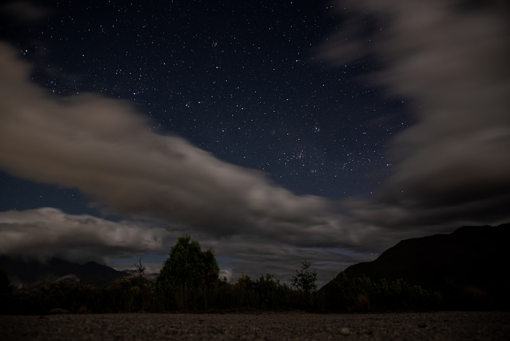 a night sky with clouds and stars above a forest