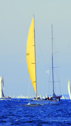 Several sailboats on the ocean with a focus on a large sailboat featuring a prominent yellow sail marked NZL 1. The water appears deep blue under a clear sky, and numerous smaller sailboats can be seen in the background.