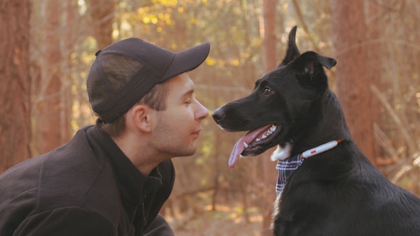 A person wearing a black cap and jacket leans close to a large black dog wearing a blue checkered bandana. They are outdoors in a forest setting with tall trees in the background, illuminated by warm sunlight shining through the leaves.