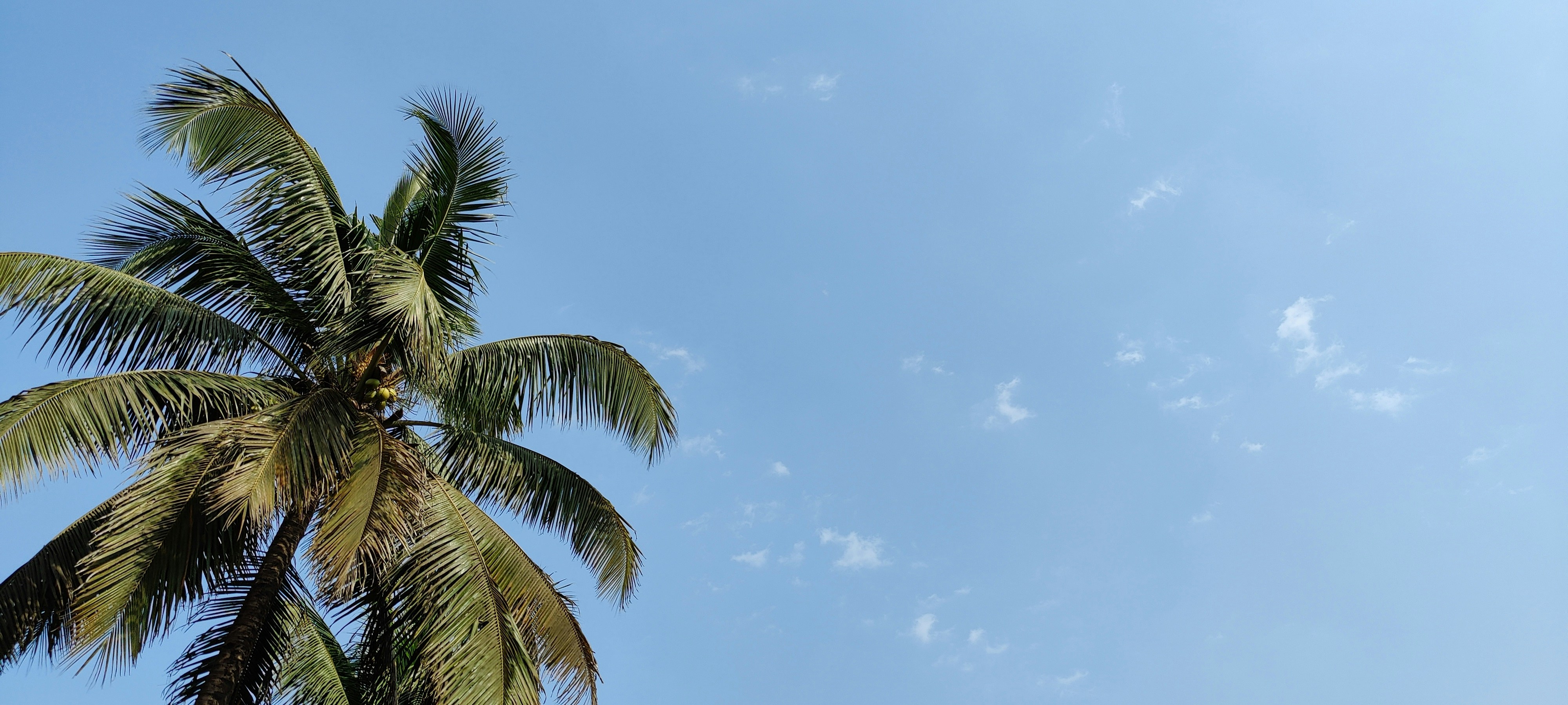 Photo by satwikgawand