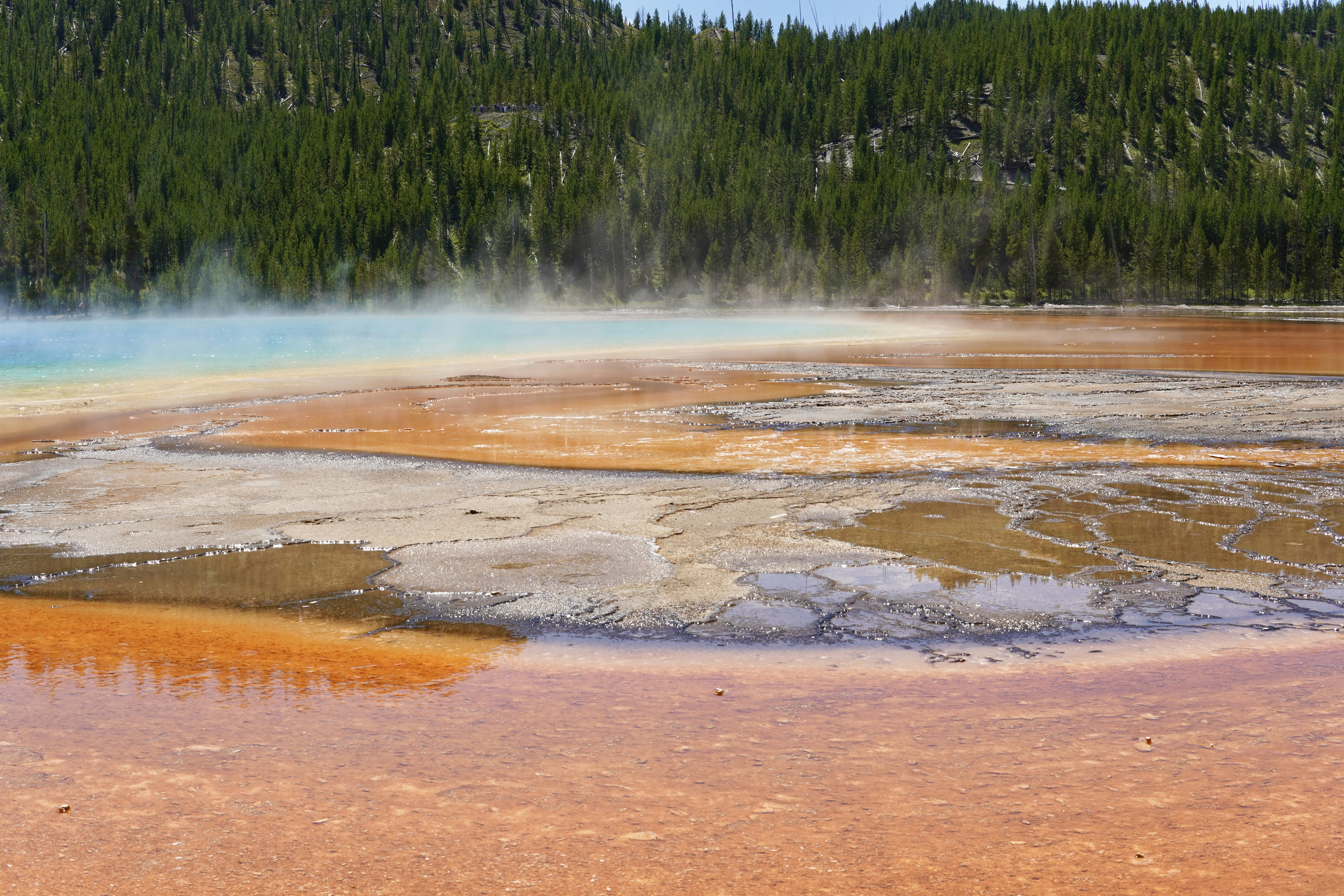 Photo by brettwharton