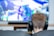A person with short brown hair is sitting on a couch wearing black headphones. In front of them is a large screen displaying a video game with vibrant colors and dynamic visuals. The focus is on the person from behind, emphasizing the immersive gaming experience.