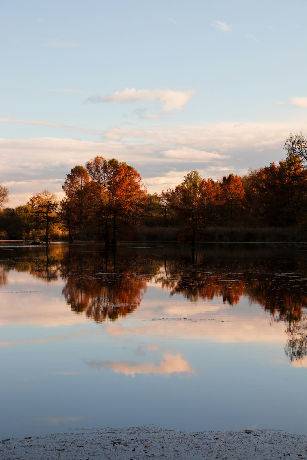 a body of water with trees in the background