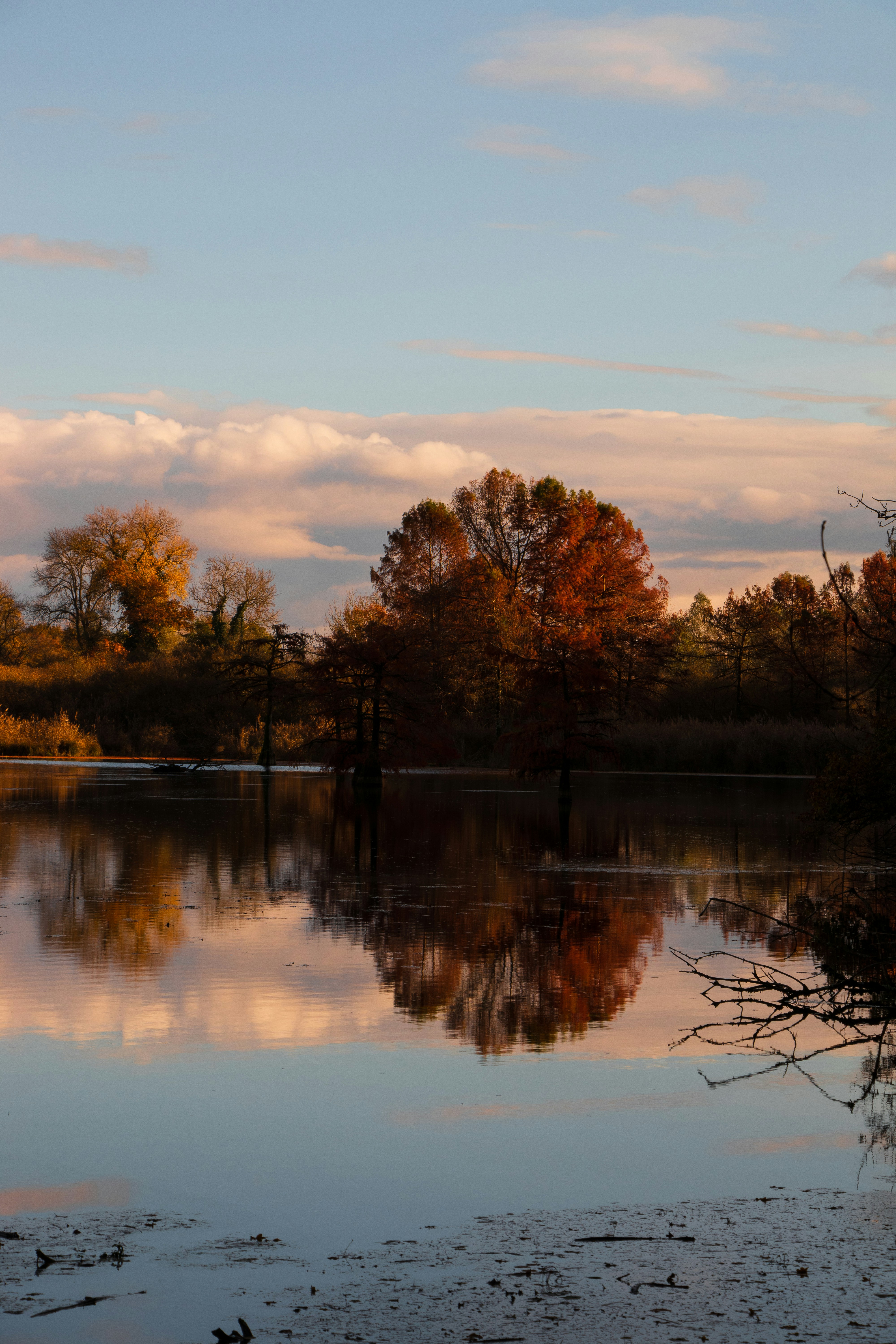 Photo by alix_guerin